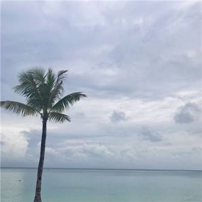 王国时代游戏